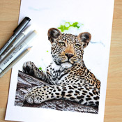 Leopard